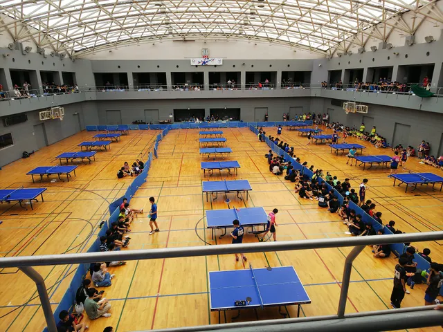 Shibasaki Citizens Gymnasium