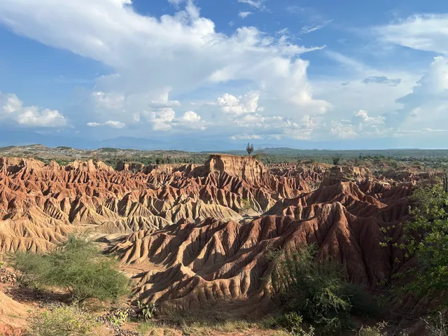 Cuzco en el desierto de La Tatacoa