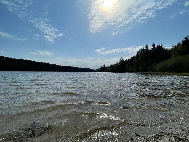 Hayward Lake Dog Beach