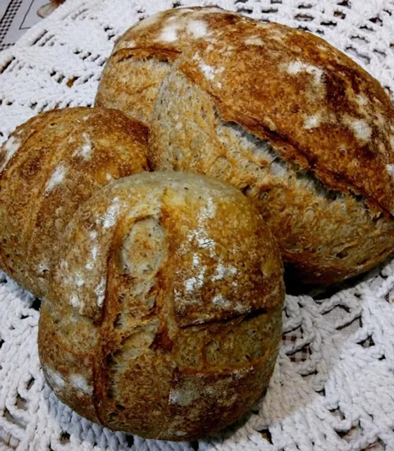 Padaria artesanal SOL PAES CASEIROS ( aldeota )