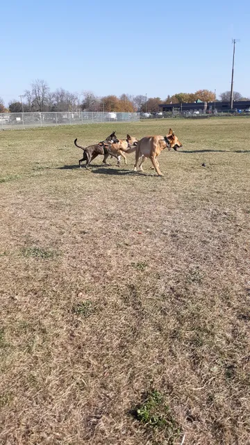 Neenah Dog Park