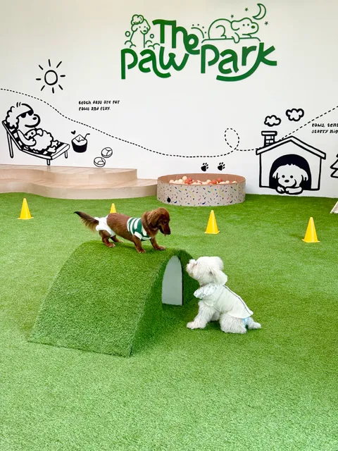 The Paw Park