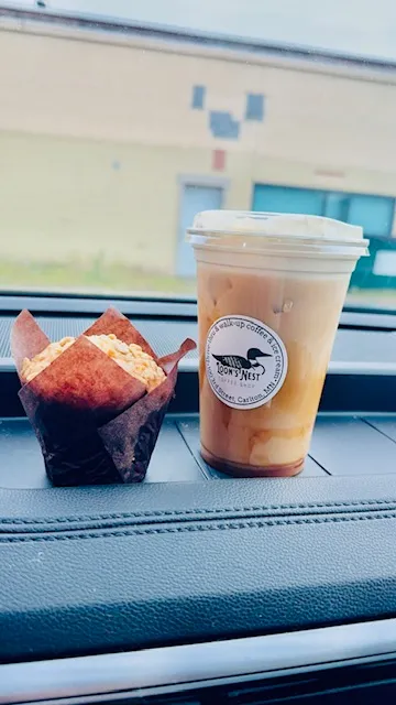 Wired Loon Coffee & Ice Cream