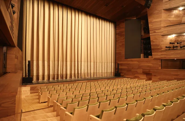 Moskovskiy Khudozhestvennyy Akademicheskiy Teatr Im. M. Gor'kogo