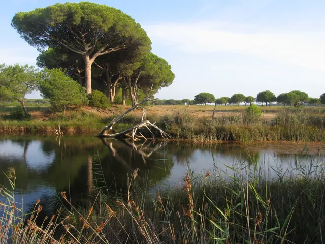 Oltremare Appartamenti