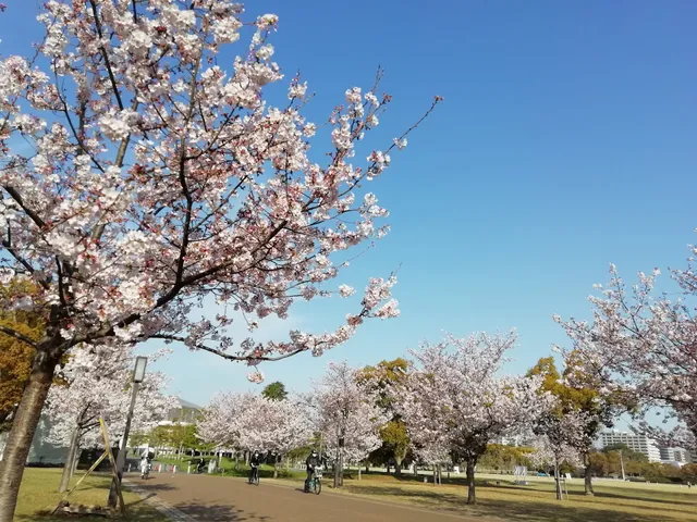 Shiroyama Park