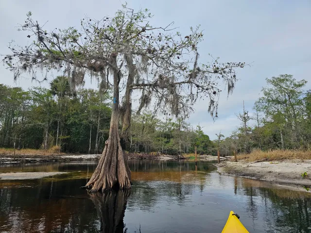 Fisheating Creek Wildlife Management Area
