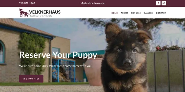 Velknerhaus German Shepherds