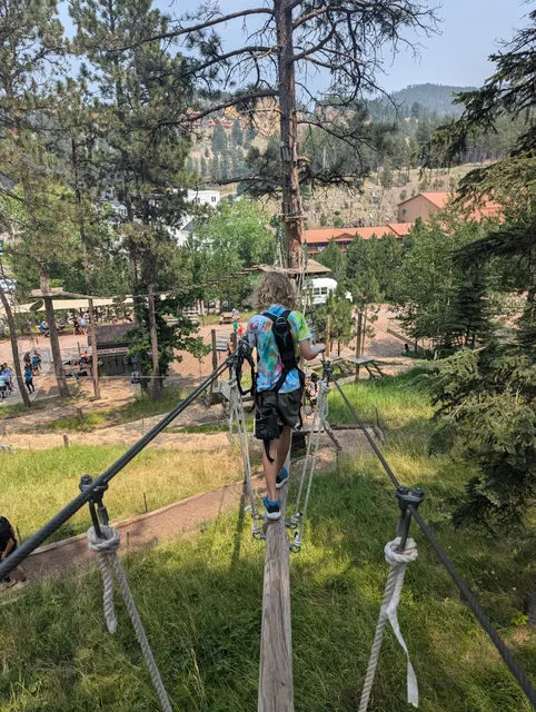 Aerial Adventure Park @ RTA