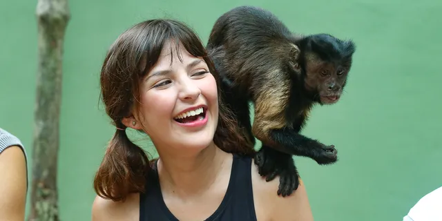 Akumal Monkey Sanctuary