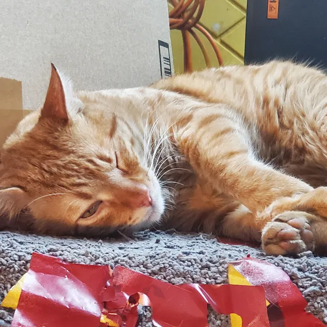 ACT Spay/Neuter Clinic