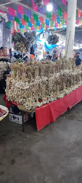Mercado de Abastos Zona Húmeda