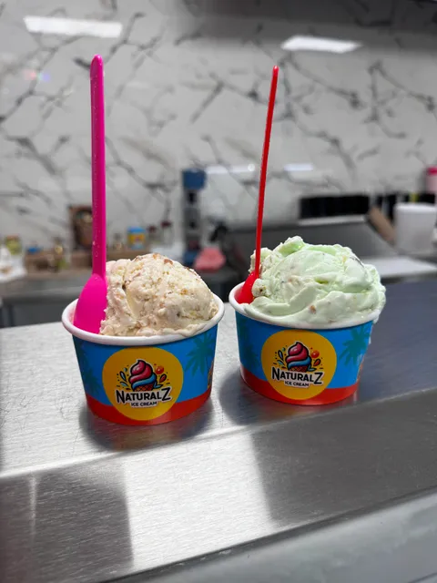 Naturalz Ice Cream