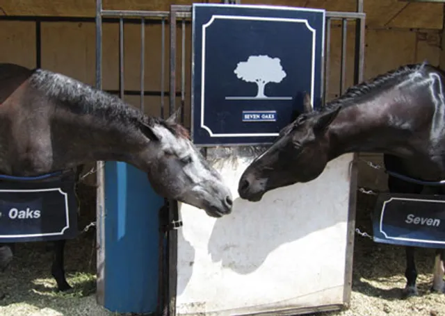 Seven Oaks Farm in Portola Valley