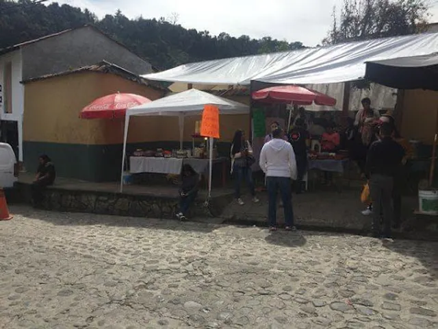 YOLIS Cocina Regional