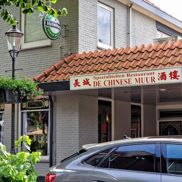 De Chinese Muur