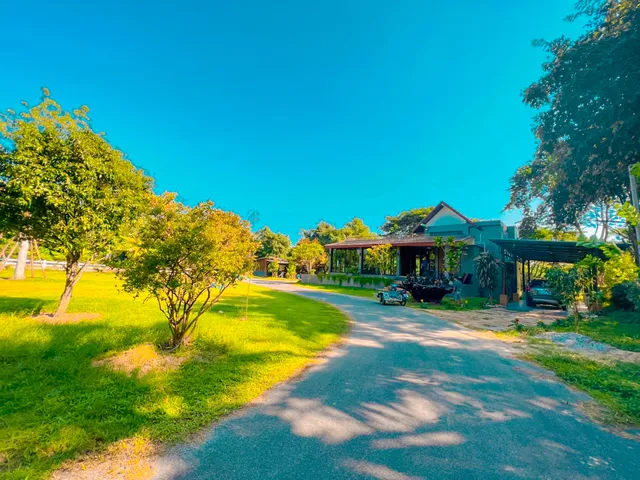 Ban Ton Mai Sai Nam,