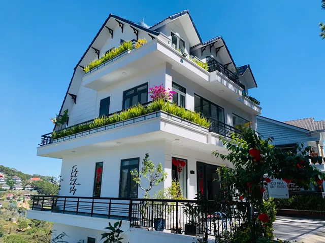 Sunshine House - Ngôi nhà đầy nắng