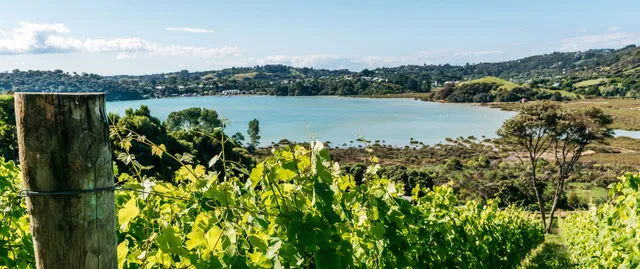 Frenchman's Hill Estate