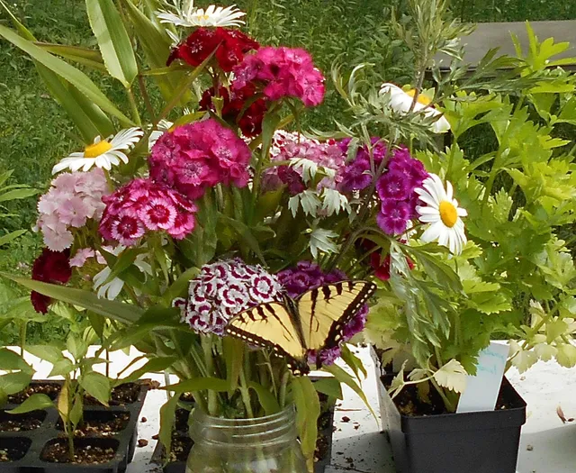 Natures Country Farm Stand