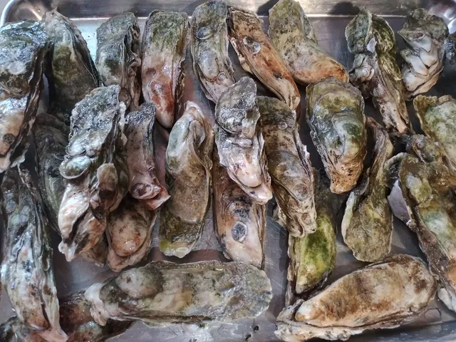 Captain Harry's Oysters & Shrimp