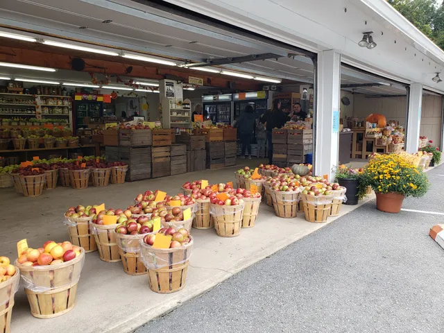 Chestnuthill Township