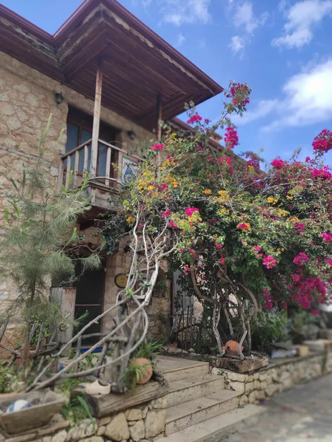 Beymelek Taşev's (Osman GÜNGÖR)