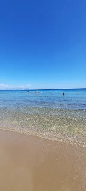 Beachfront Apartment Downtown