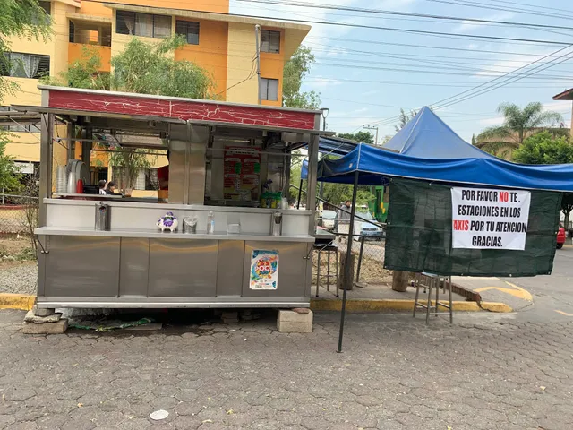 TEJUINOS “El SAUZ”