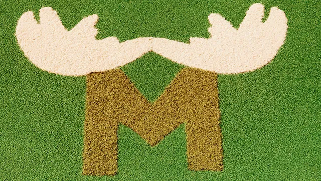 Meandering Moose mini golf