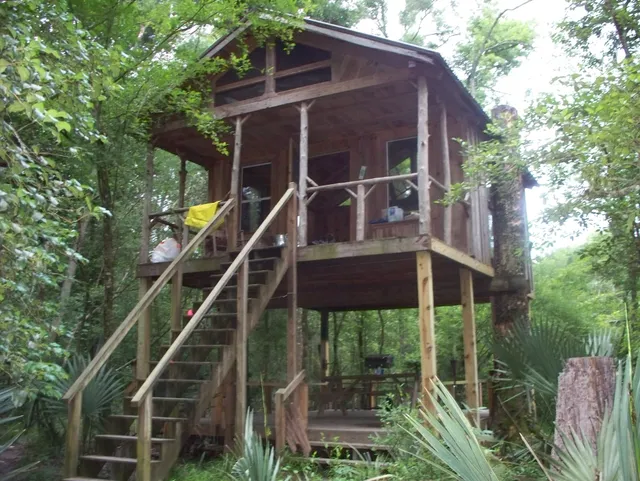 Edisto Refuge (Treehouse Island)