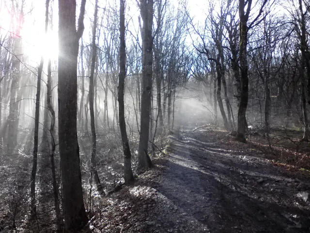 The top of the mountain Beshtau
