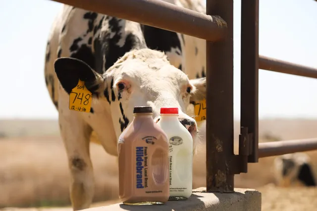 Hildebrand Farms Dairy