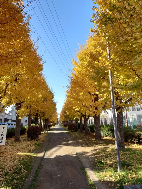 Kamichibasunahara Park Parking Lot