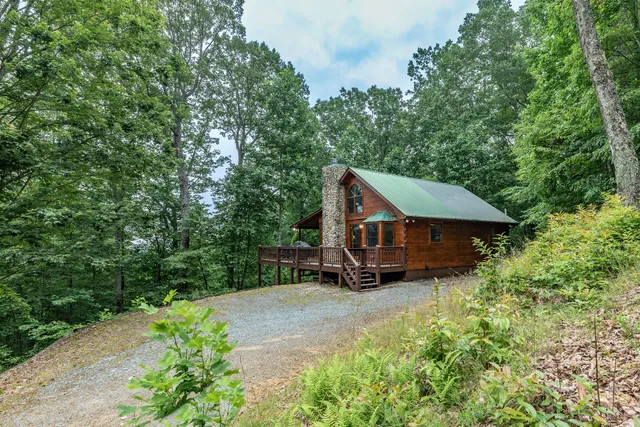 The Owl's Nest Cabin - Blue Ridge