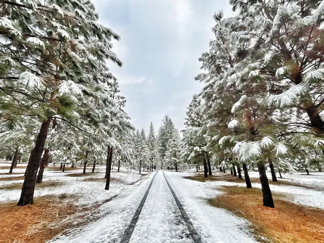 Better Place Forests - Yosemite Gateway