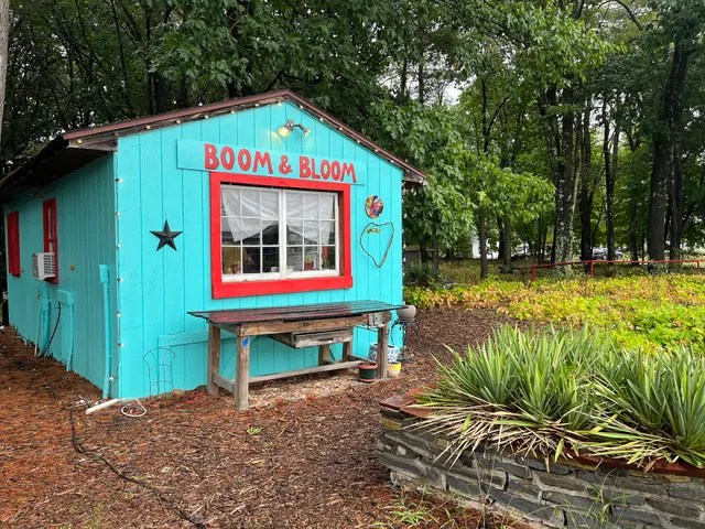 Boom and Bloom Records