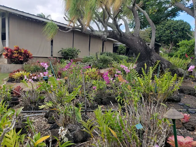 Kiahuna Plantation Orchid Garden
