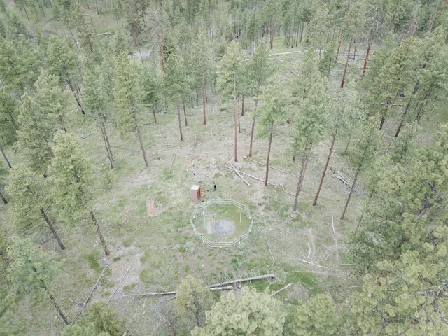 Malheur National Forest