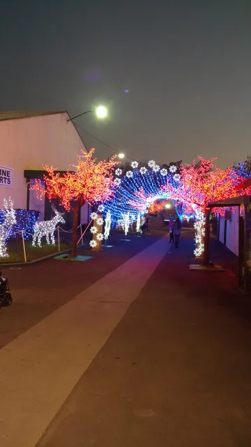 Thunderbowl Racing Association