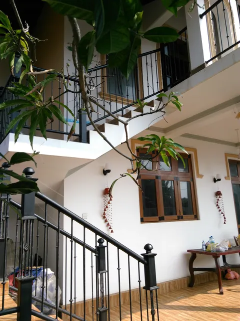 Olive Tree Guest House