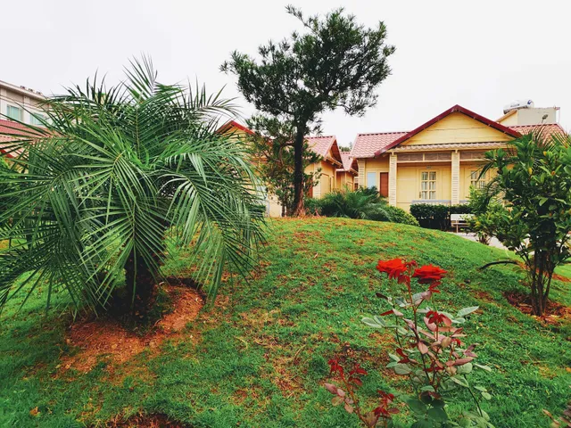 Anh Phat Inn Hotel & Restaurant