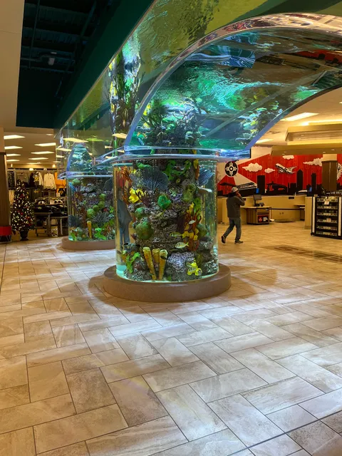 Ginna's Café at SCHEELS