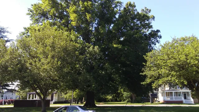 Chowan County Social Services Department