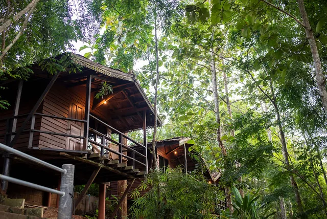 Hot Coffee Guest House and Resort