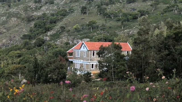 Wild Walkers Home Stay