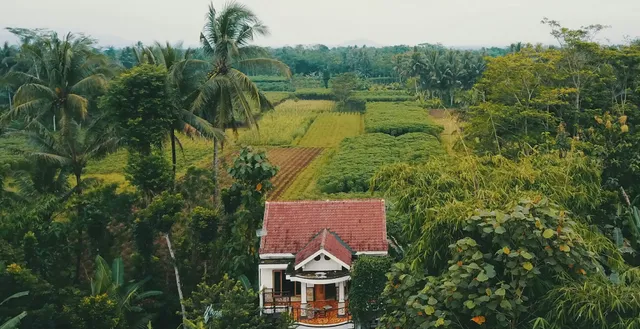 Jolan Jalan homestay Borobudur