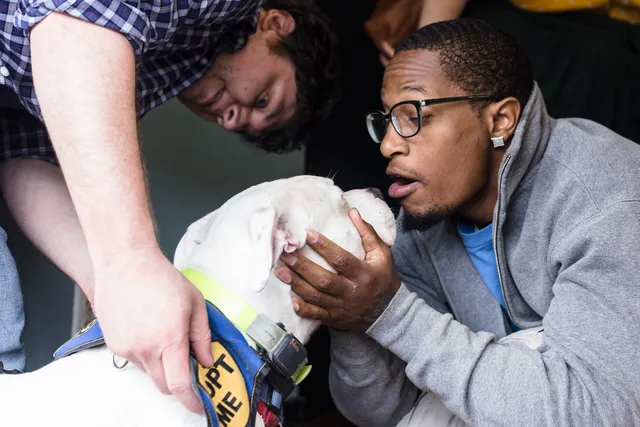 City Dogs 18th Street NW