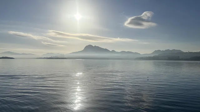 Tai Po Waterfront Pier