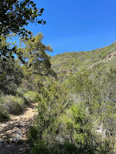 Laurel Canyon Hiking Trail